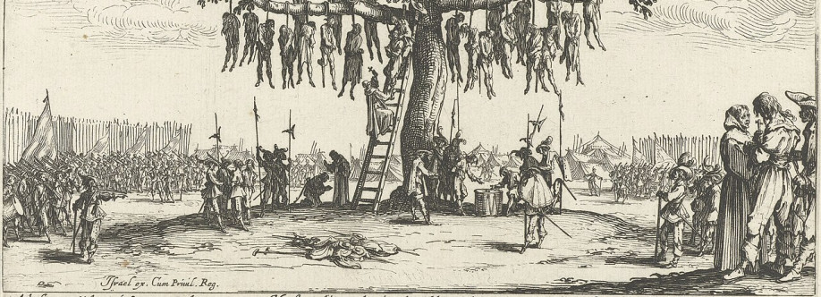 Stephanie Bergnaum Cover Image